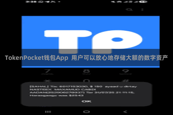 TokenPocket钱包App 用户可以放心地存储大额的数字资产