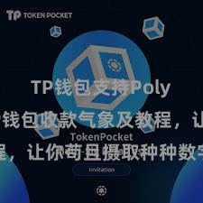 TP钱包支持Polygon TP钱包收款气象及教程，让你苟且摄取种种数字货币款项